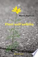 Fiori sull’asfalto
