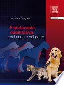 Fisioterapia riabilitativa del cane e del gatto