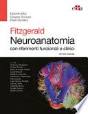 Fitzgerald. Neuroanatomia con riferimenti funzionali e clinici