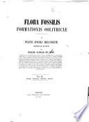 Flora, fossilis formationis oolithicae