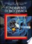 Fondamenti di biochimica
