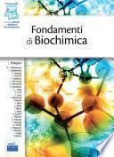 Fondamenti di biochimica
