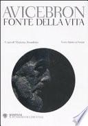 Fons vitae