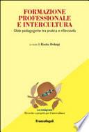 Formazione professionale e intercultura. Sfide pedagogiche tra pratica e riflessività