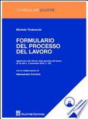Formulario del processo del lavoro. Con CD-ROM