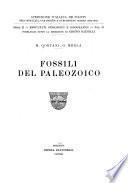 Fossili del paleozoico