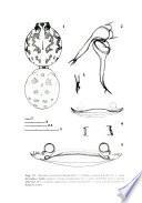 Fragmenta entomologica