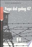 Fuga dal gulag 47