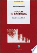 Fuoco in Castiglia. Vita di Teresa d'Avila