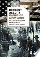 Gangs of New York. Una storia americana della malavita