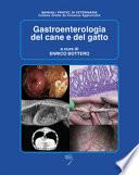 Gastroenterologia del cane e del gatto