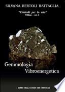 Gemmologia vibroenergetica. Fondamenti di cristalloterapia vibroenergetica