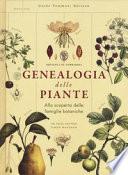 Genealogia delle piante