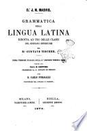 Grammatica della lingua latina J. N. Madvig