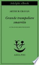 Grande trampoliere smarrito