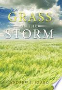 Grass in the Storm