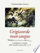 Grigioverde rosso sangue. Combattere e morire nella Grande Guerra del 15-18