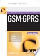 GSM-GPRS. Tecniche, architetture, procedure