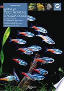 Guida ai pesci tropicali d'acqua dolce