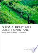 Guida ai principali boschi spontanei dell'alta Valle del Santerno