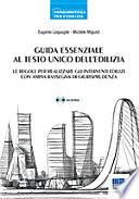 Guida essenziale al Testo Unico dell'edilizia. Con CD-ROM