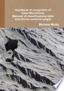 Handbook of recognition of Karst Microforms