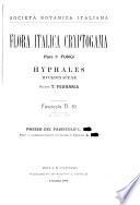Hyphales