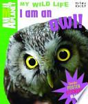 I Am an Owl !