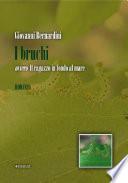 I bruchi ovvero «il ragazzo in fondo al mare»