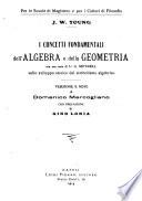I concetti fondamentali dell' algebra e della geometria ...