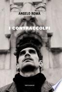I contraccolpi