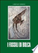 I fossili di Bolca