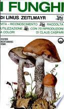 I Funghi