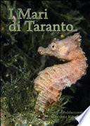 I mari di Taranto