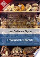 I molluschi e i zoofiti