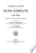 I movimenti e le abitudini delle piante rampicanti