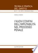 I nuovi confini dell'imputabilità nel processo penale