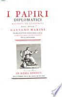 I papiri diplomatici