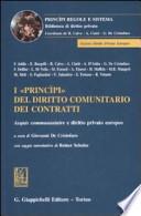 I princìpi del diritto comunitario dei contratti