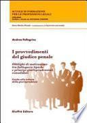 I provvedimenti del giudice penale. Obblighi di motivazione tra fattispecie tipiche e principi giurisprudenziali consolidati. Guida alla lettura della giurisprudenza