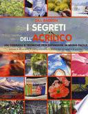 I segreti dell'acrilico. 200 consigli e tecniche per dipingere in modo facile