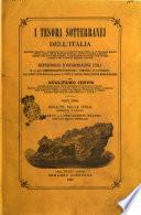 I tesori sotterranei dell'Italia descrizione topografica e geologica di tutte le localita nel Regno d'Italia ... per Guglielmo Jervis