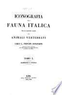 Iconografia della fauna italica per le quattro classi degli animali vertebrati