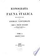 Iconographia della fauna Italica per le quatro classi degli animali vertebrati
