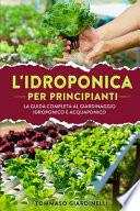 Idroponica per principianti