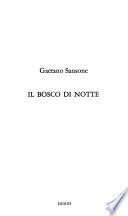 Il bosco di notte