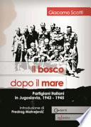 Il bosco dopo il mare