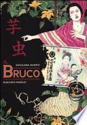 Il bruco