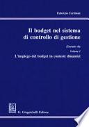 Il budget nel sistema di controllo d gestione