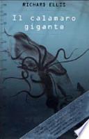 Il calamaro gigante
